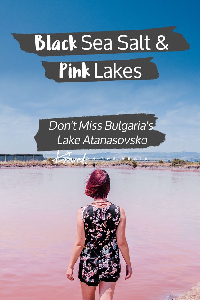 Can You Swim In Salt Lake Can You Swim In The Great Salt Lake California Travel Lake Trip