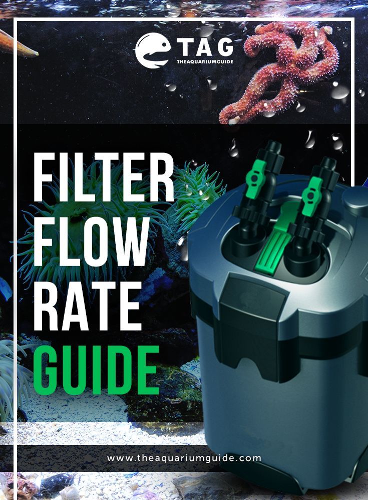 filter flow rate guide