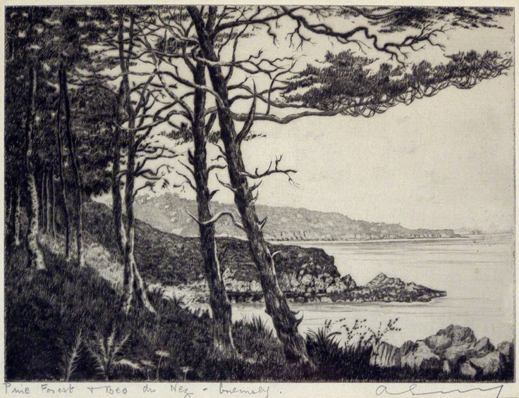 Bec du Nez, Guernsey, Pine forest | Pine forest, Old things, Skinny love