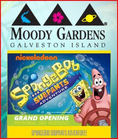 Moody gardens coupons discounts
