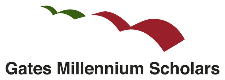 Gates millennium scholarship essays
