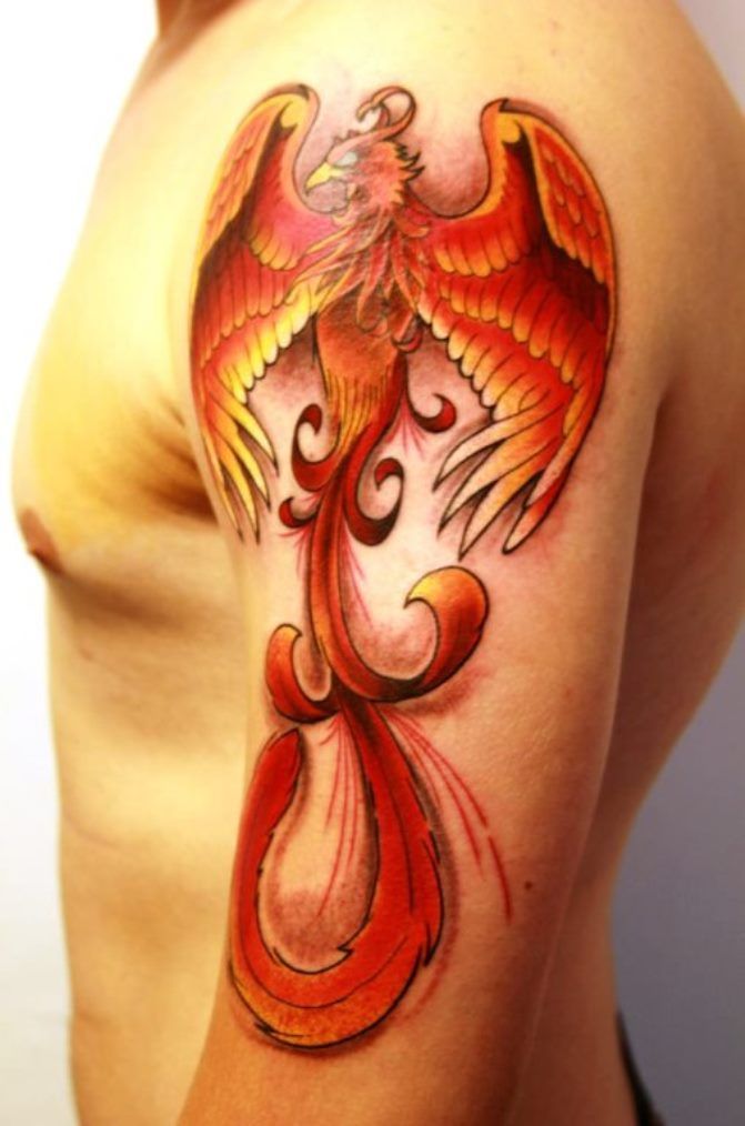 8 best phoenix tattoos images on pinterest birds tattoo ideas 8 best phoenix tattoos images on pinterest birds tattoo ideas