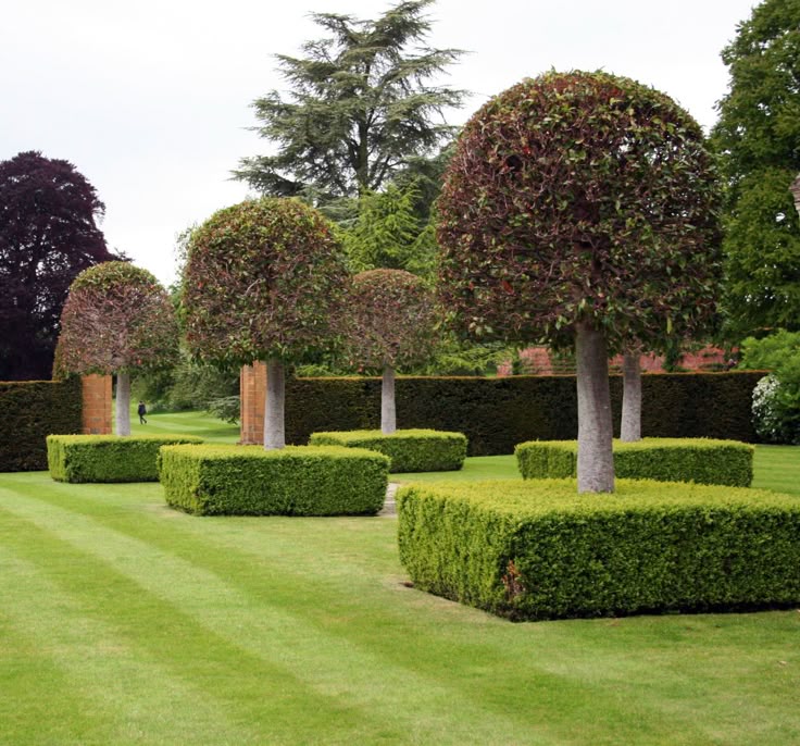 Garden Design Trees 1627 best garden design images on pinterest | gardens, landscaping Garden Design Trees 1627 best garden design images on pinterest | gardens, landscaping