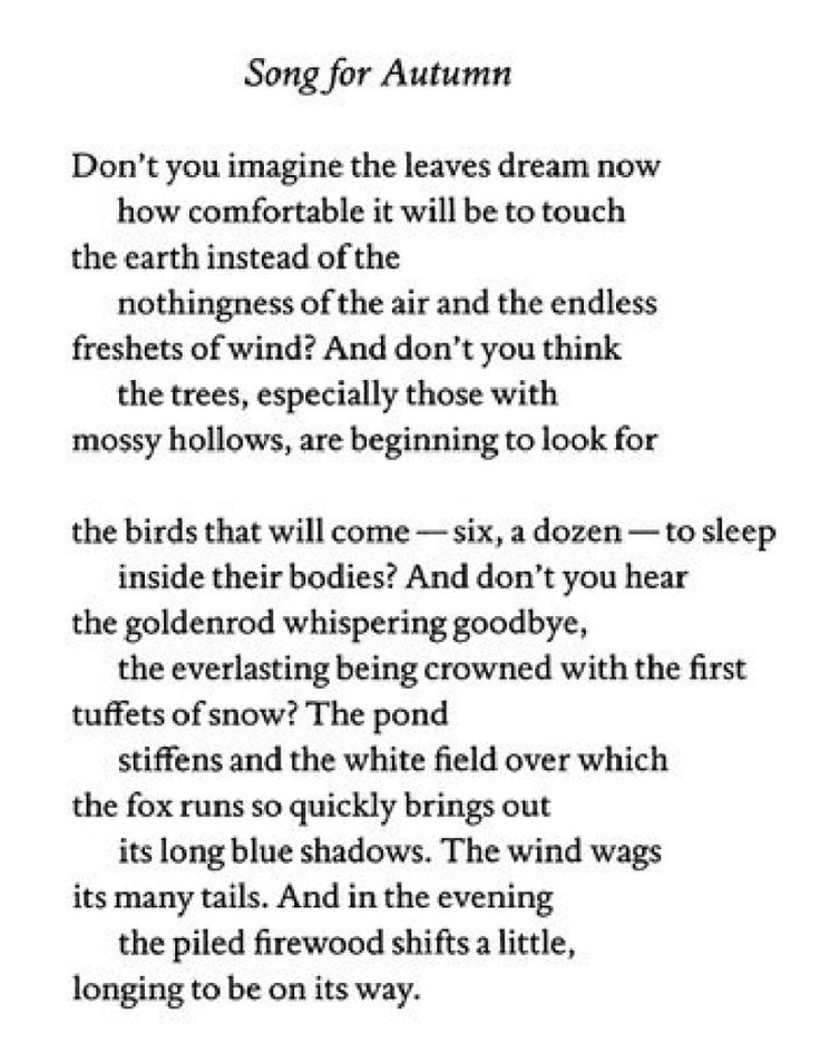 Mary Oliver Song For Autumn Mary Oliver Songs Poetry mary-oliver-song-for-autumn-mary-oliver-songs-poetry