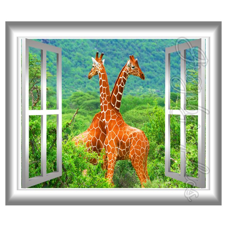 Window Wall Art 298 best vwaq wall decals images on pinterest | wall decals, wall Window Wall Art 298 best vwaq wall decals images on pinterest | wall decals, wall