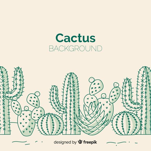 Cactus Phone Wallpaper Cactus Drawing Hand Drawn Instant Download