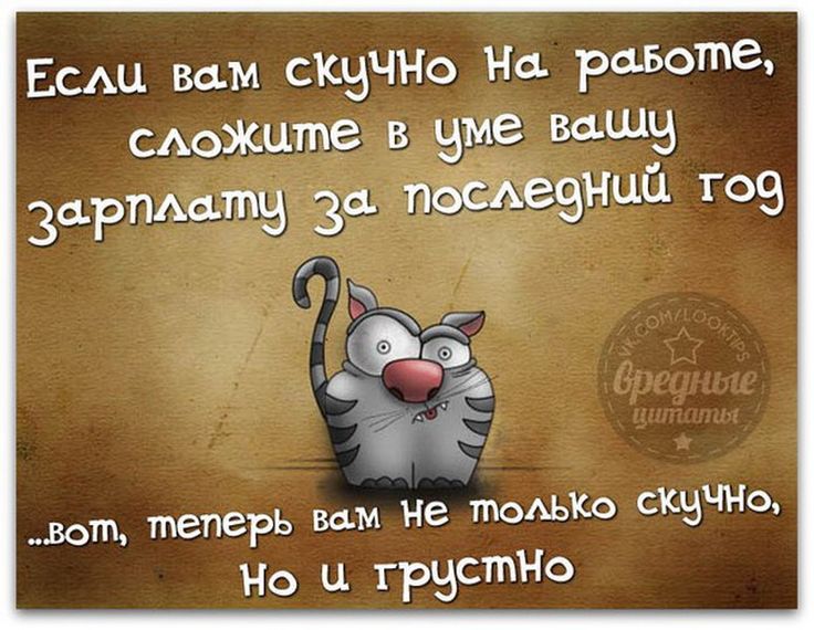 Днем рождения, смешные картинки фразами