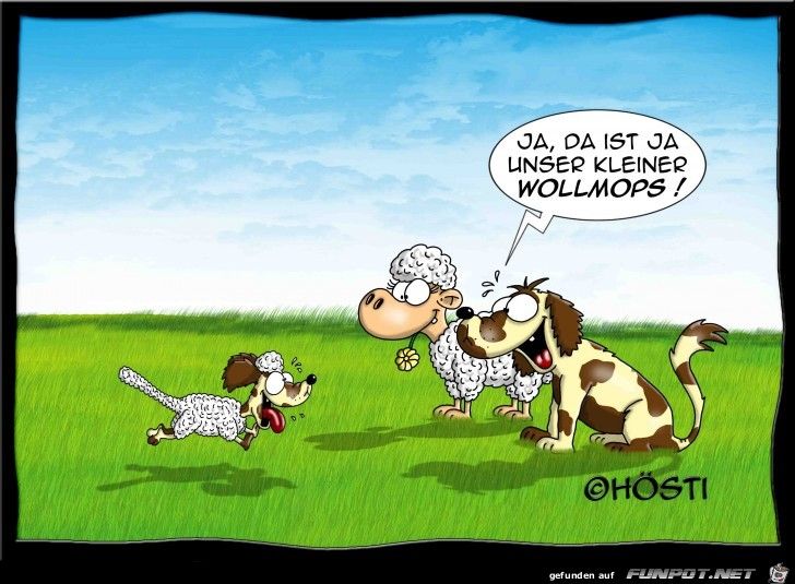 Lustige bilder sexistisch