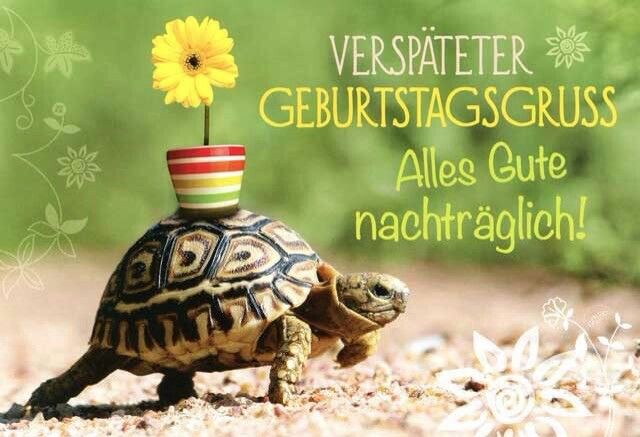 Verspäteter Geburtstagsgruß Verspätete geburtstagsgrüße, Geburtstag