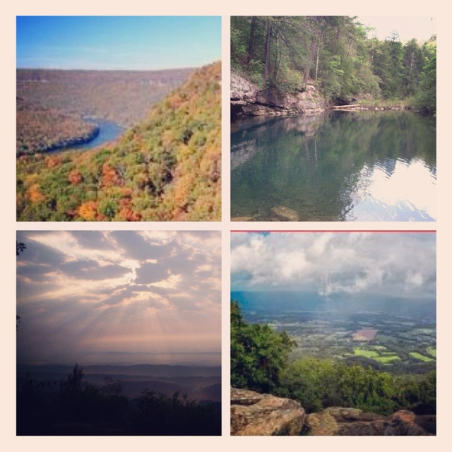 Singles in signal mountain tn