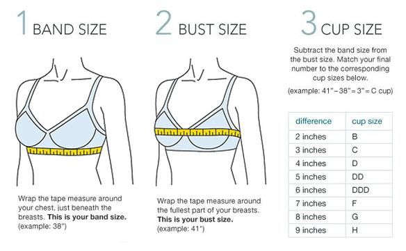 Pin By E On Bra Bra Size Charts Wire Free Bras Full Cup pin-by-e-on-bra-bra-size-charts-wire-free-bras-full-cup