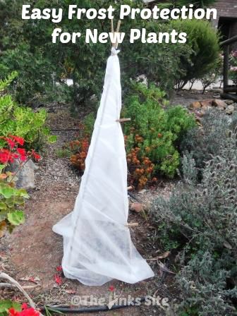 New Garden Ideas 2014 20 best protect your plants from the winter frost images on New Garden Ideas 2014 20 best protect your plants from the winter frost images on