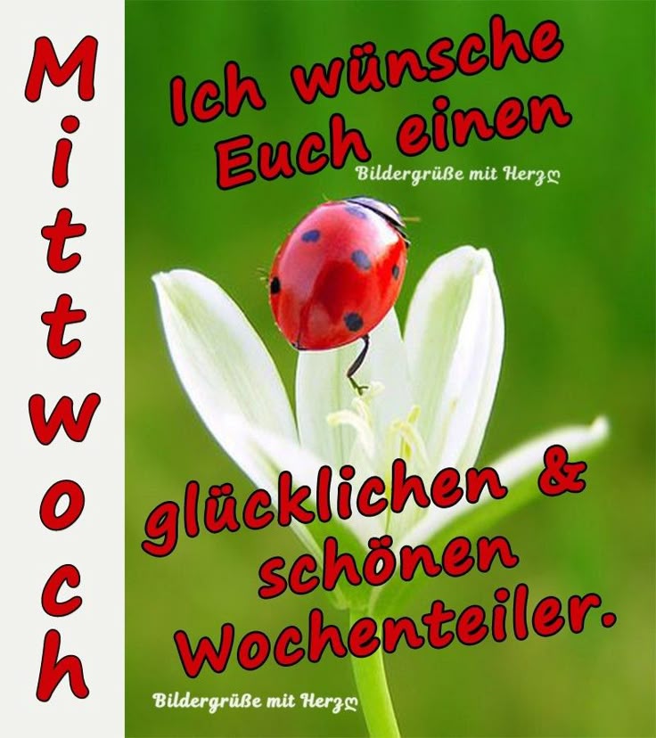 Tantra massage flensburg