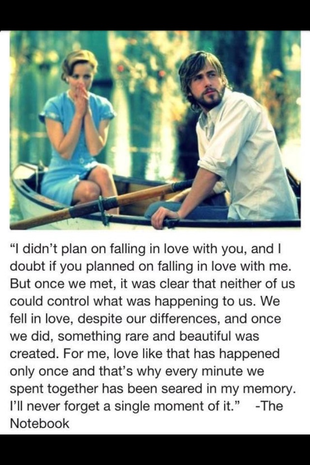 Notebook Quotes