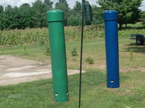 best 25 squirrel proof bird feeders ideas on pinterest best 25 squirrel proof bird feeders ideas on pinterest