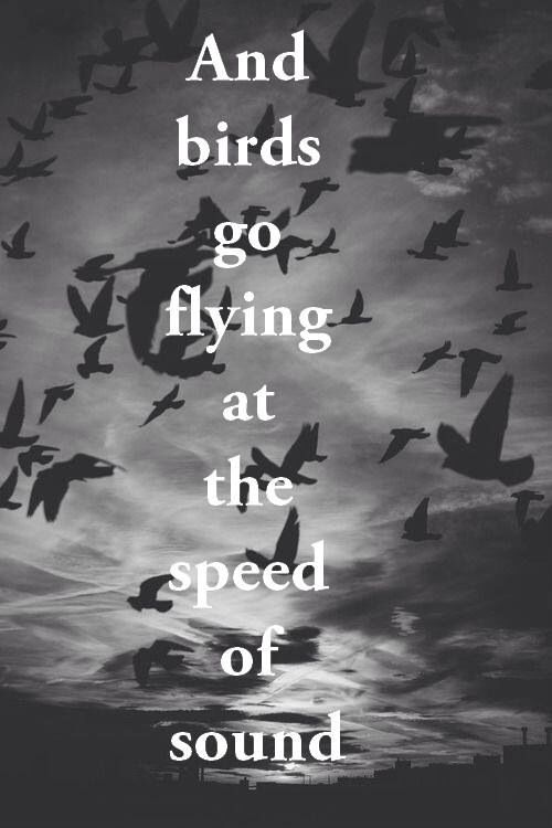 Black And White Photograph With Birds Flying In The Sky Above It That black-and-white-photograph-with-birds-flying-in-the-sky-above-it-that