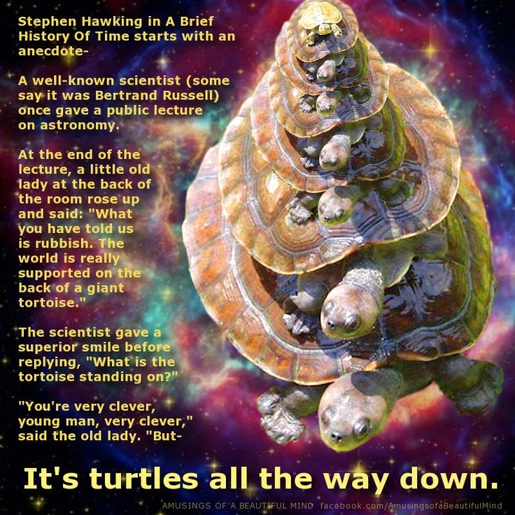 turtles all the way down a Turtles all the way down rex/shutterstock fans of best-selling author john green will be happy to hear that his latest young adult novel turtles all the way down is headed to the big screen the fast-talking green posted a video today to make the announcement that he and fox 2000 are working on an adaptation. turtles all the way down a Turtles all the way down rex/shutterstock fans of best-selling author john green will be happy to hear that his latest young adult novel turtles all the way down is headed to the big screen the fast-talking green posted a video today to make the announcement that he and fox 2000 are working on an adaptation.