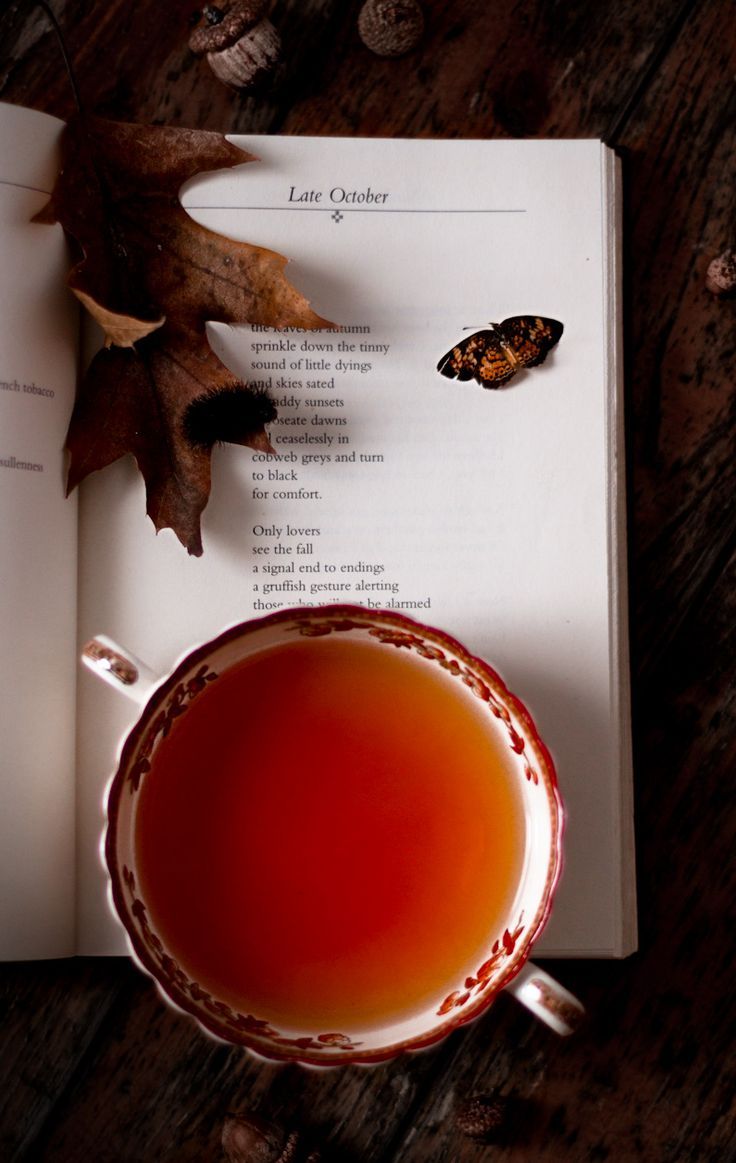 Fall Coffee Photography Fall Coffee Photography