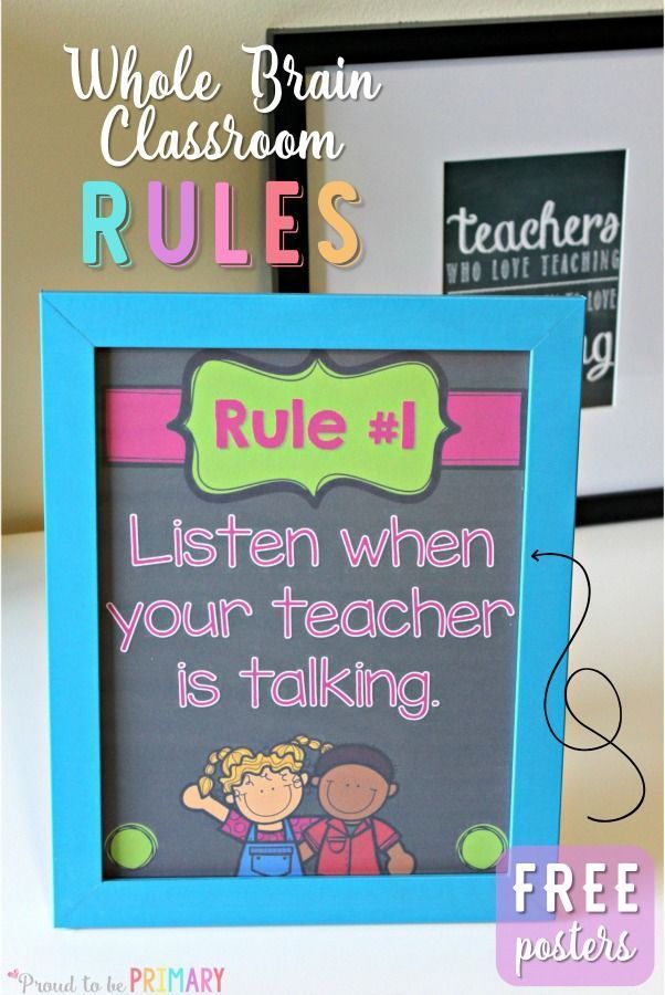 whole brain teaching rules