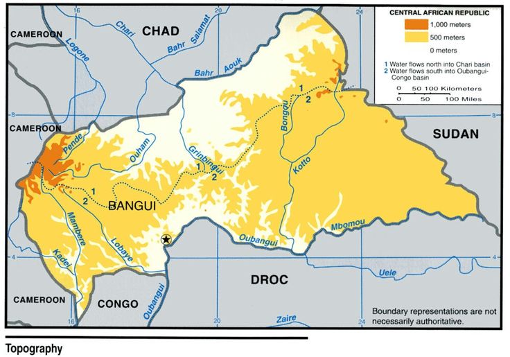 Oare mai exista dinozauri? - Enigmatica.ro