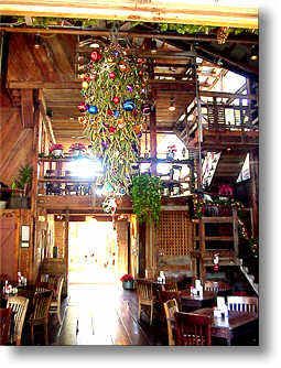 Mexican Food Gruene Tx Mexican Food Gruene Tx