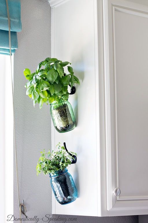 Best 25 Apartment Kitchen Decorating Ideas On Pinterest Ideas For Growing Herbs Right In Your Kitchen