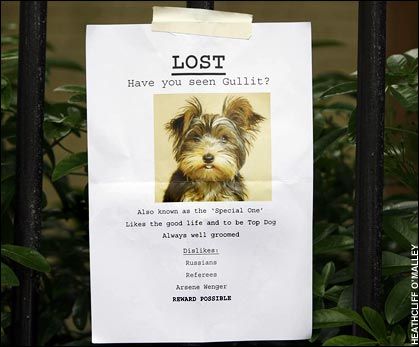 lost dog flyer examples - Vatozatozdevelopment - Lost Dog Flyer Examples