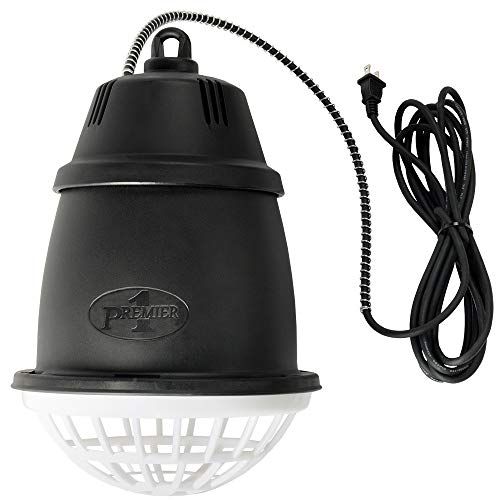 Dog House Heater Premier Heat Lamp For Brooders Lambs And Pets