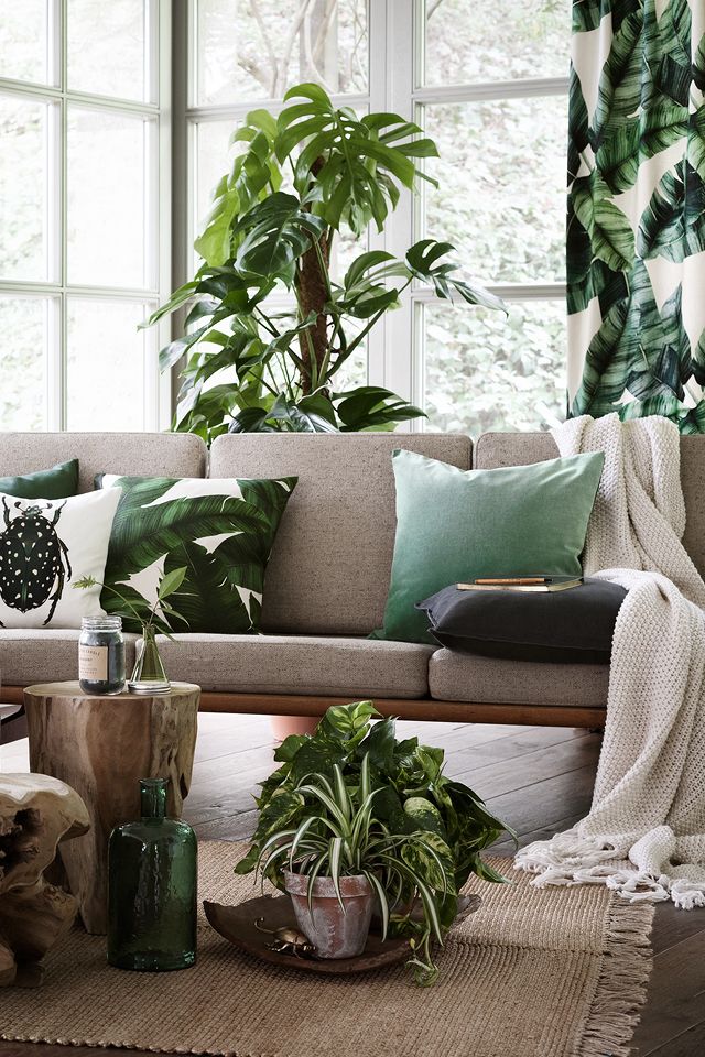 Decorated Homes Interior top 25+ best tropical living rooms ideas on pinterest | tropical Decorated Homes Interior top 25+ best tropical living rooms ideas on pinterest | tropical