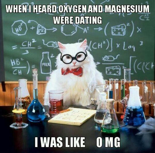 the 25 best science memes ideas on pinterest chemistry cat 0bc30703abc5967e17011ca715ee4ba3 cat memes funny memes the 25 best science memes ideas on pinterest chemistry cat
