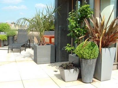 Container Garden Design Property 8 best container garden in high rise images on pinterest | outer Container Garden Design Property 8 best container garden in high rise images on pinterest | outer