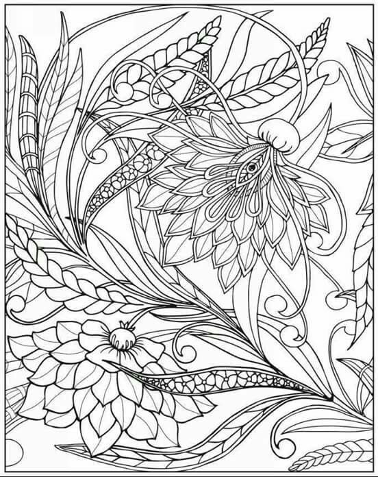 977 best Colouring pages images on Pinterest Coloring pages - best of coloring pages adults birds 977 best Colouring pages images on Pinterest Coloring pages - best of coloring pages adults birds