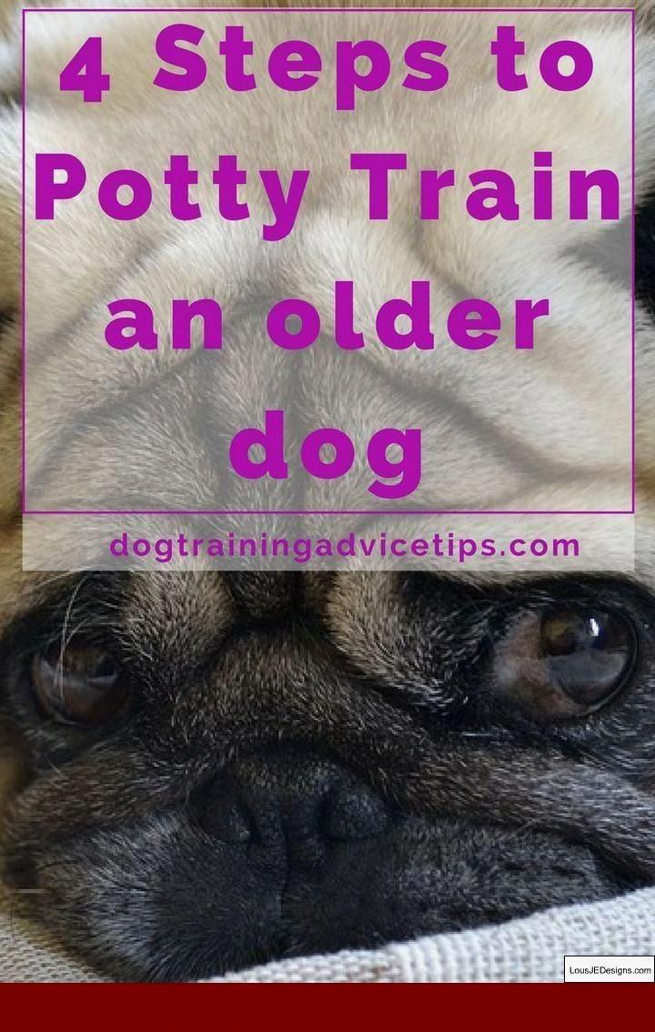 Give Your Dog Treats But Don T Overdo It Dog Training Obedience