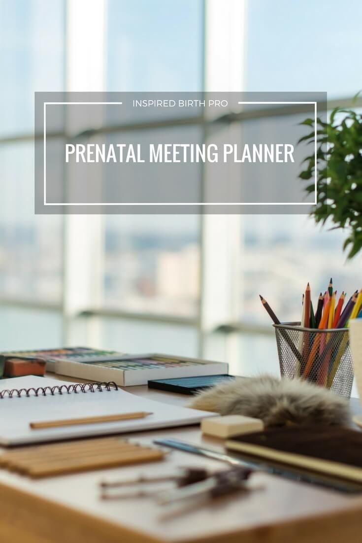 savvy doula prenatal visit planner sample prenatal meeting meeting outlines