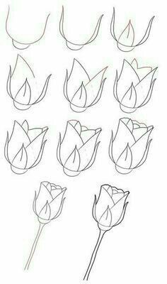 easy flower sketch