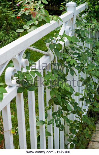 Image Result For White Wrought Iron Fencing In 2018 Image Result For White Wrought Iron Fencing