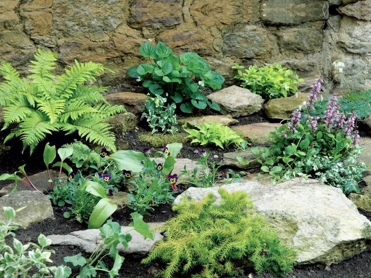 Garden Design Slope 25 best slope ideas images on pinterest | garden ideas Garden Design Slope 25 best slope ideas images on pinterest | garden ideas