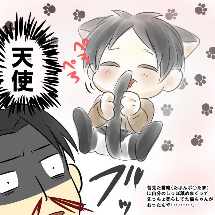 Levi and neko Eren // AoT Erie Aot Porn - Levi and neko Eren // AoT
