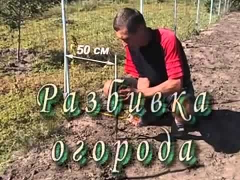 рецепт финского супа на сливках рецепт финского супа на сливках