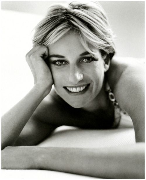 diana testino diana testino