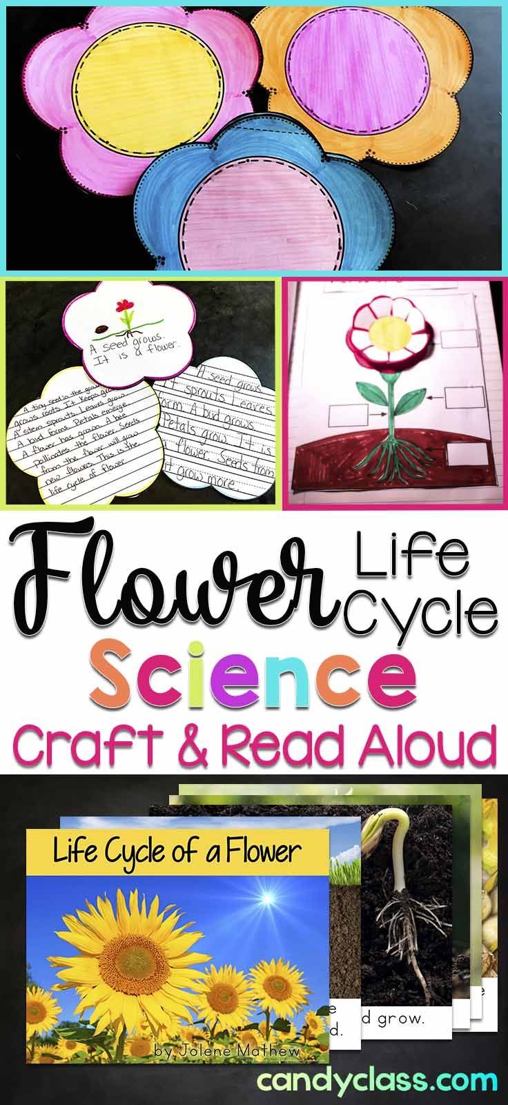 haas and flower reading response Rhetorical reading and the development of disciplinary literacy across the high school curriculum many cac scholars will recall rhetorical reading as a term introduced by christina haas and linda flower (1988) that motivated subsequent research by scholars such as davida charney (1993), cheryl geisler rhetorical reading and the. haas and flower reading response Rhetorical reading and the development of disciplinary literacy across the high school curriculum many cac scholars will recall rhetorical reading as a term introduced by christina haas and linda flower (1988) that motivated subsequent research by scholars such as davida charney (1993), cheryl geisler rhetorical reading and the.