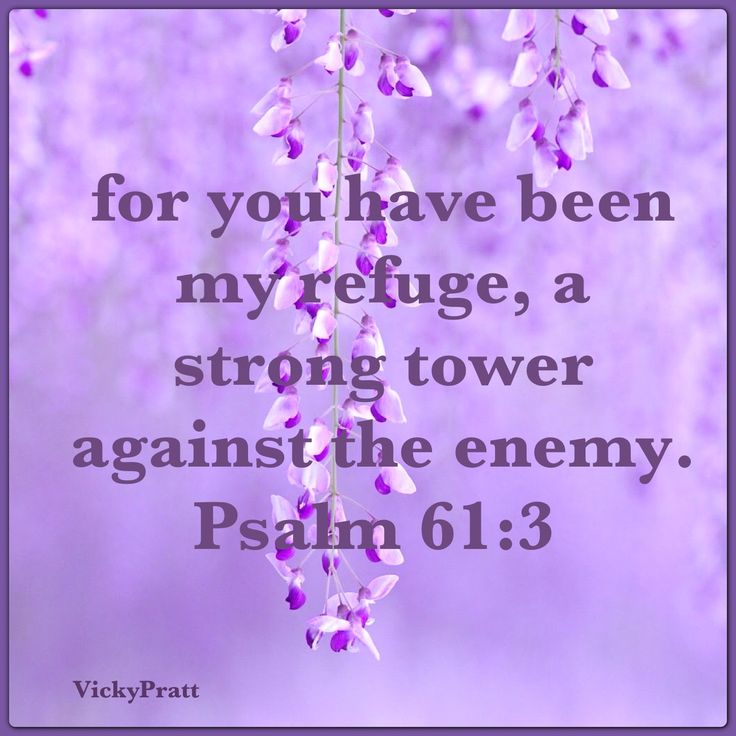 Psalm 61 3 This Is A Good Verse To Teach Our Kids To Memorize what-does-psalm-61-5-mean