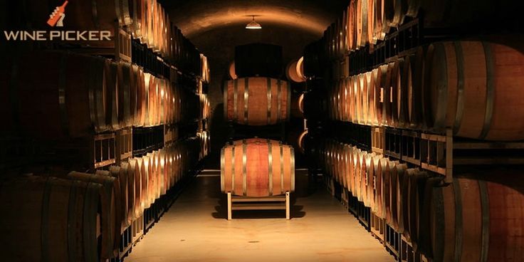 Building a cellar with your own hands Building a cellar with your own hands