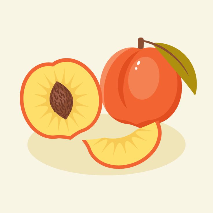 tutorial illustrator