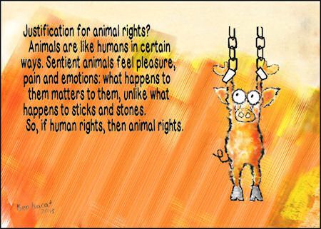 Essays on animal rights