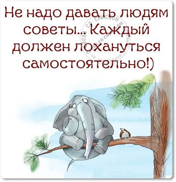 таком веселые рисунки со смыслом москве осадков