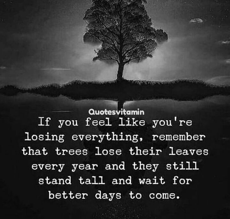 Pin by kUrRii CaReLeSs on ️ English quotes ️ | How are you feeling