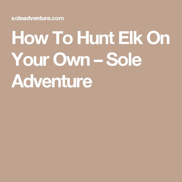 the elk hunt essay Bowhunter tv celebrates it's 200th episode by including a great line-up elk hunts. the elk hunt essay Bowhunter tv celebrates it's 200th episode by including a great line-up elk hunts.