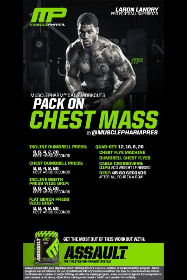 22 best Health \ Fitness images on Pinterest Workouts, Circuit - new arnold blueprint ebook 22 best Health \ Fitness images on Pinterest Workouts, Circuit - new arnold blueprint ebook