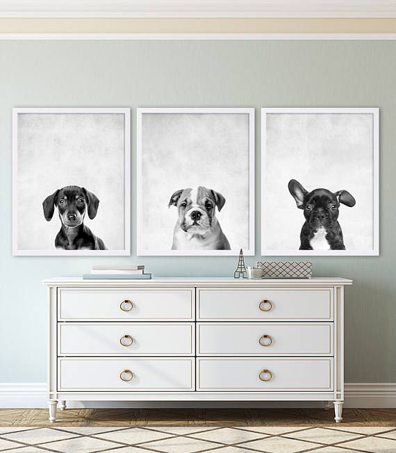 best 25+ dachshund personality ideas on pinterest | dachshund best 25+ dachshund personality ideas on pinterest | dachshund